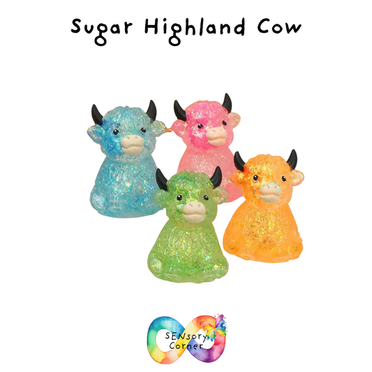Sugar Highland Cow