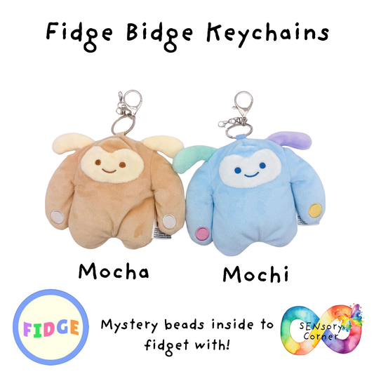 Fidge Bidge KeyChains 6+