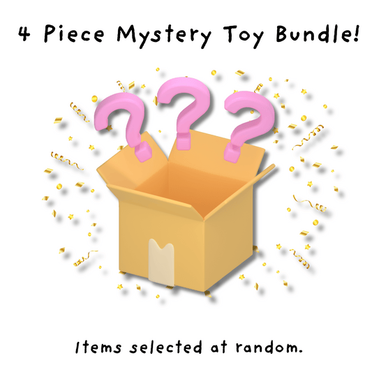 4 Piece Mystery Toy Bundle